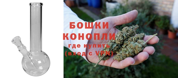 spice Елизово